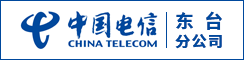 中国电信股份有限公司东台分公司