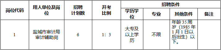 鹽城市審計(jì)局招聘政府購(gòu)買服務(wù)用工人員崗位表