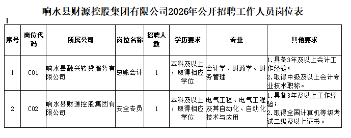 响水县财源控股集团有限公司2026年公开招聘工作人员岗位表